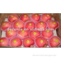 2011 Fresh Red Fuji Apple